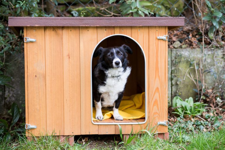 Acheter une niche pour chien pour le confort de son animal