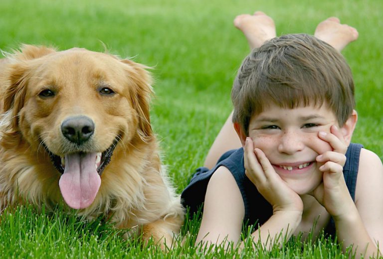 Ce qu’il faut savoir avant d’acheter un chien pour ses enfants